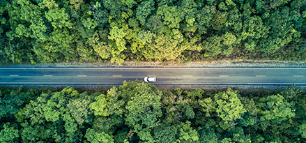 car-driving-down-forest-road