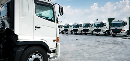 line-of-trucks-parked